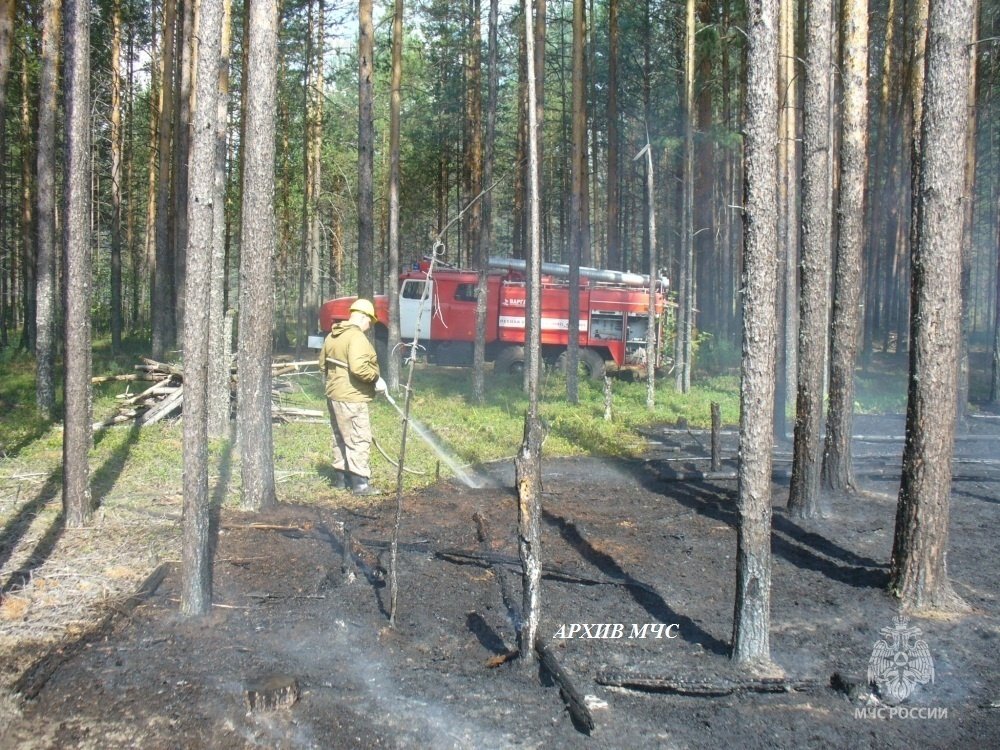 Лесной пожар в Кадыйском муниципальном районе локализован